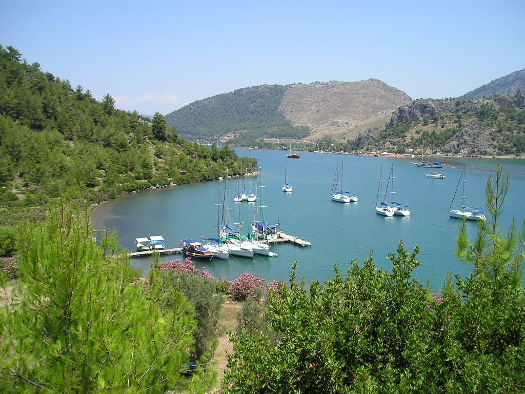 Orhaniye